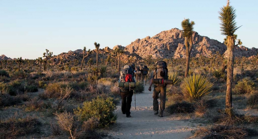 Two backpackers hike along a desert trail toward a rocky mountain. 
